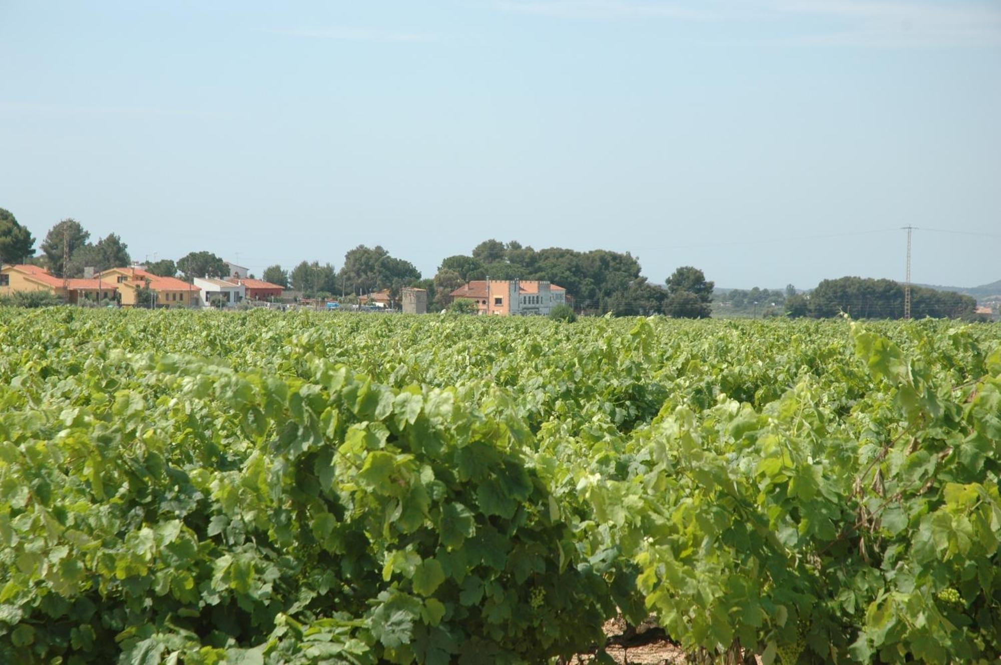 Banyeres del Penedes Hotel Restaurant El Bosc מראה חיצוני תמונה